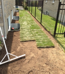 Réparation du terrain et pose de pelouse après réparation de drain français